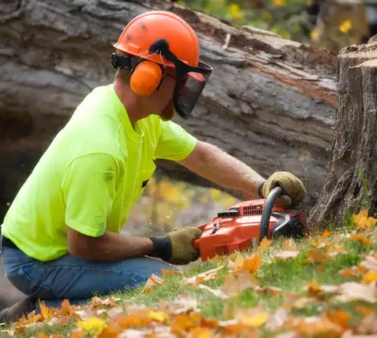 tree services Bellport